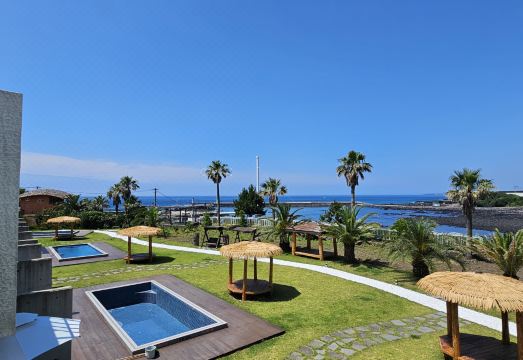 1. 제주 바다연 풀..