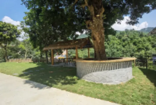 畔山居民宿（古龍峽店） 鄰近古龍峽雲天玻霸的酒店