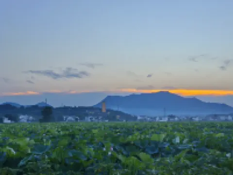 Chen Xuan Yi Zhai (Jiu Hua Mountain Tourist Service Center Store)
