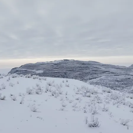 Cloud Mountain Manor