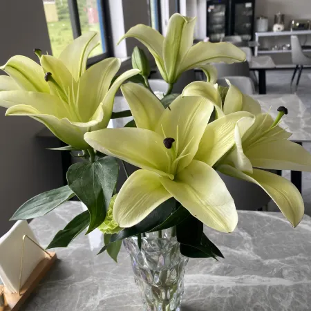 Banzhiya Chinese Inn