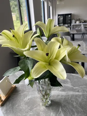 Banzhiya Chinese Inn