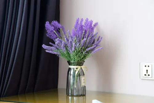 Lavande Hotel (Zhanjiang Guomao Guangbai) Photos