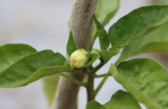 Courtyard by Marriott Changchun Отели в г. Чанчунь