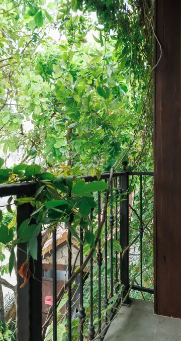 ห้องจูเนียร์สวีท