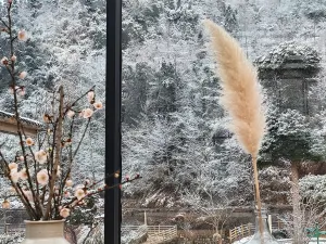 大邑山之四季·小森林溫泉民宿