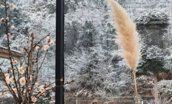 Four Seasons of the Mountain·Little Forest Hot Spring Guesthouse