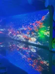 โรงแรมเฟิร์สฮอตสปริง - ที่มีฟิตเนส