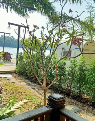 ริมสวน 1