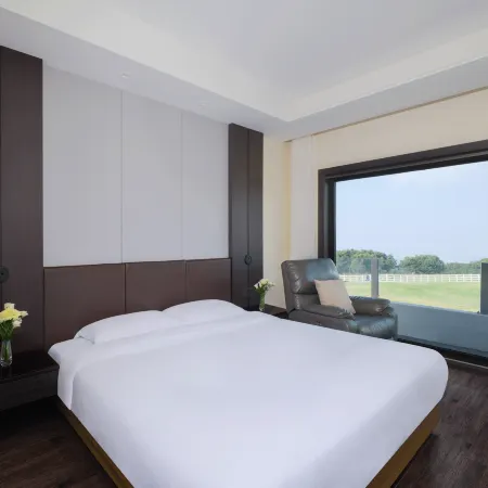 Amber Pure Hill Hotels & Resorts Jeju