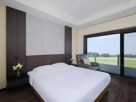 Amber Pure Hill Hotels & Resorts Jeju