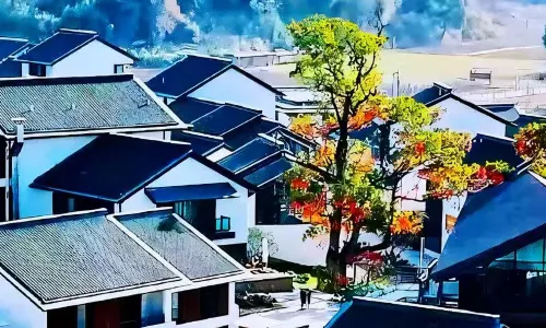Fu liang Hua kai Xing fu li Hotel