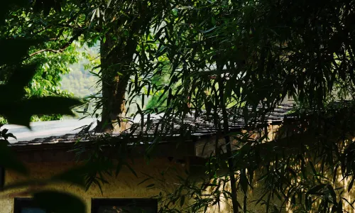 Anji Old Woods Holiday Villa Hotel