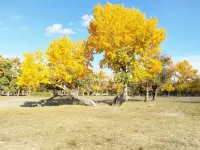 Burqin Muyu Pastoral Homestay (Rainbow Cliff) - Mountain view