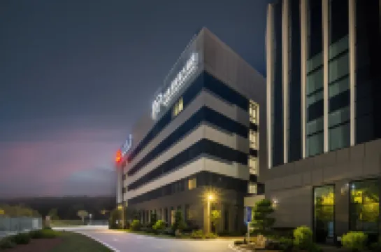 Chuanhang Jinxiongmao Grand Hotel (Qingshan Airport)