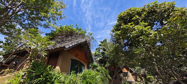 The Moon Rabbit Resort Hôtels à&nbsp;: Pai