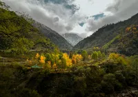 Under the Tree Art Hot Spring Homestay - Romantic