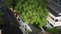 Songzhiyu 3 · Pingjiang Road Homestay - Romantic