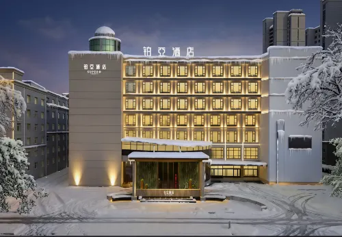 Platinum Hotel Qiqihar Wanda Plaza Branch Hotels in Qiqihar