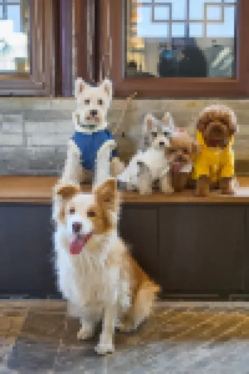 Floral Hotel·Yan Zhen ju quadrangle Hotel (Datong ancient city branch)