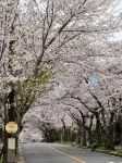 Floral Hotel · Sakura-zaka Onsen (Izu Kogen Omuroyama) - Mountain view