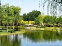 GreenTree Inn Select Hotel (Beijing Capital Airport Terminal 3) - Scenic