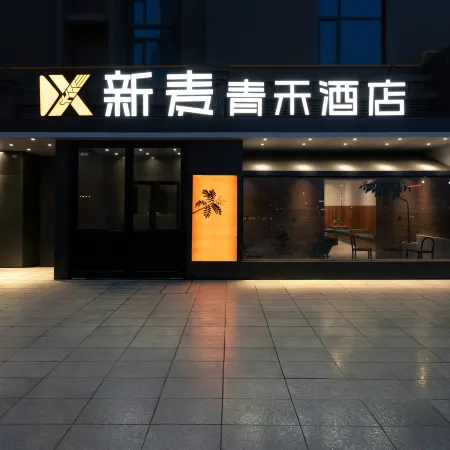 Xinmai Qinghe Hotel (Urumqi International Convention & Exhibition Center Wuyue Plaza Branch)