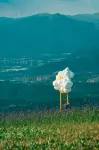 Zhangjiakou Fulong Fengling Yuegu Fanwoods Hotel - Romantic