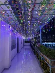 Chongzuo Linyun Mountain Residence - ห้องครัว