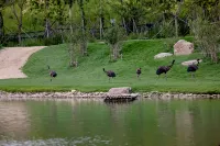 Yutian Wandelan Resort Hotel (Qilihai Resort) - Gym