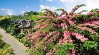 Xishuangbanna Jinghong Qianxunye Villa is a privatesingle-family villa.