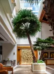 Forum For Asia Gold Coast Hotel