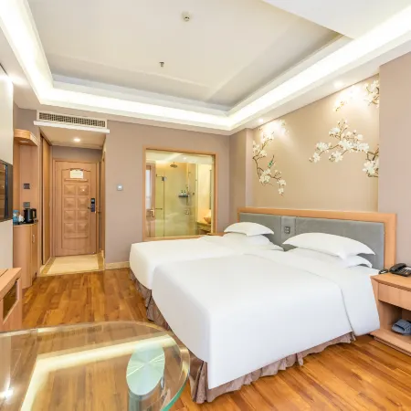 GreenTree Eastern Hotel (Dongxing Border Gate)