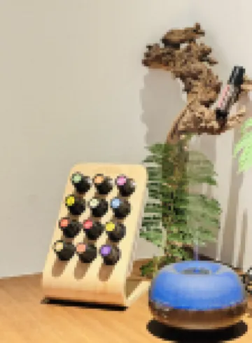 GuiYuan Hotel · ChengDu Grand Mansion