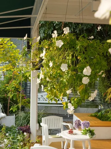 รูปภาพของเคพี ซีวิว จอมเทียน