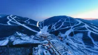 MT7 Scenic Bungalow Resort Hotel Hotels in 