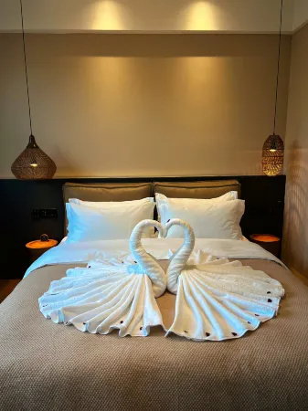 Lazy Cat Homestay Отели рядом с достопримечательностью «Xuejinyan Former Site»