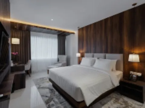 西維迪森林山酒店 索良酒店