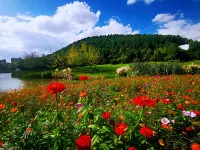 Youshan Meishu Homestay