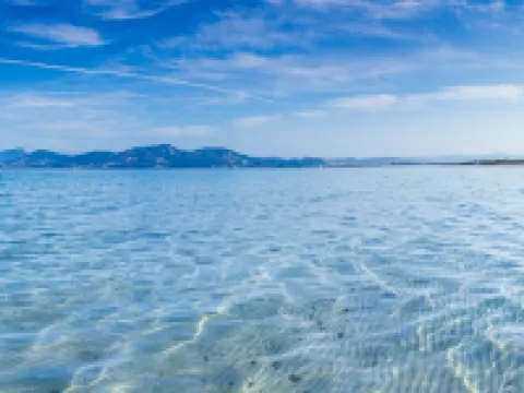 Deluxe Villa  view of the Or Islands-California Hotels in Carqueiranne