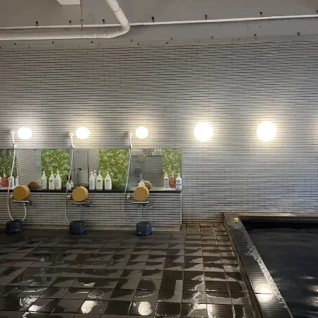 Hamanako Bentenjima Onsen Family Hotel Kaisyunro