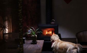 Shanyu Private Hot Spring Homestay (Dujiangyan Scenic Area Nanqiao)