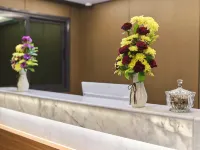 M.Y Business Hotel Hotels near Maadi