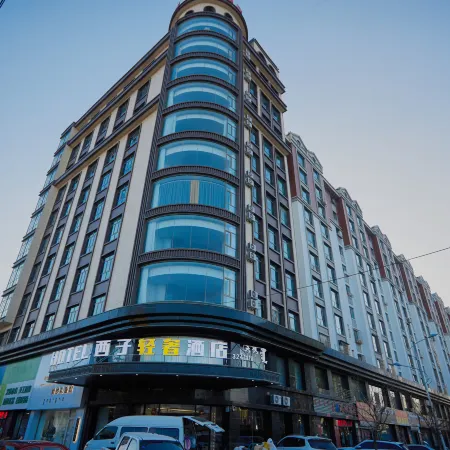 Xizi Light Luxury Hotel (Urad Qianqi Government Store)