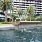 Sheraton Ninghai - Pools