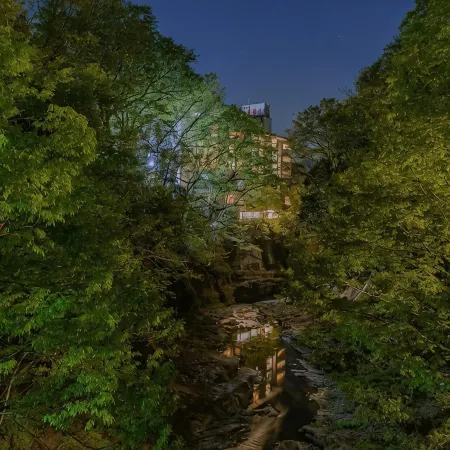 Hotel Miyama