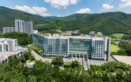 Hotel Around Pyeongchang - ペット同伴可