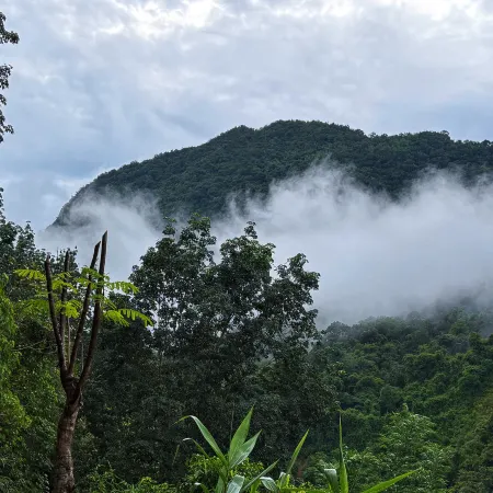 Mengla Naka Rainforest Homestay