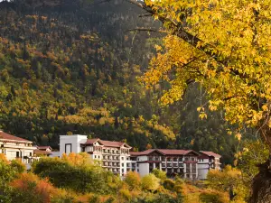 Hilton Linzhi Resort