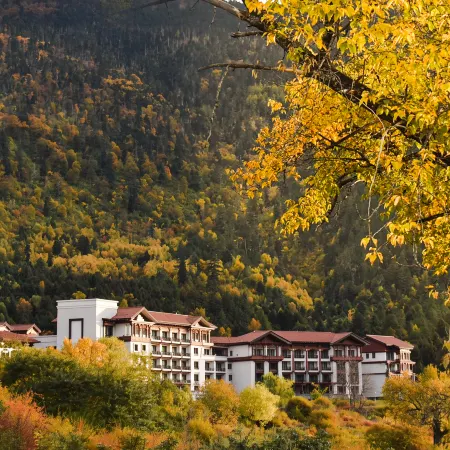 Hilton Linzhi Resort